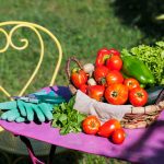 Cum să organizezi o grădină cu legume pentru auto-susținere