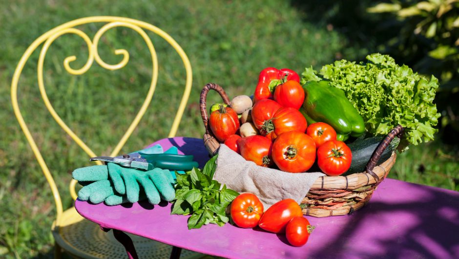 Cum să organizezi o grădină cu legume pentru auto-susținere