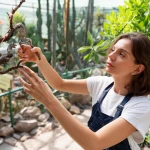 Cum creezi o bordură decorativă de-a lungul gardului
